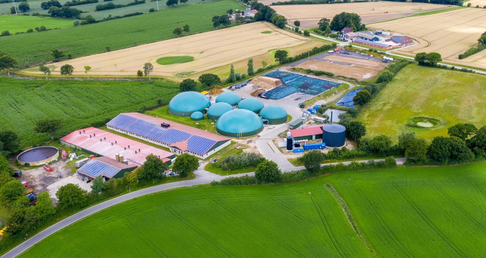 PHOTO-2020-07-17-21-19-54